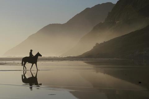 paseo a caballo