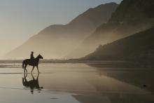 paseo a caballo